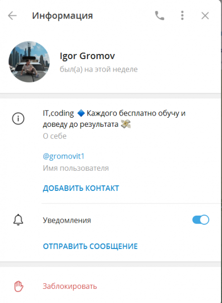 Телеграмм-канал «Игорь Г. | Приватный блог»: схемы заработка, отзывы