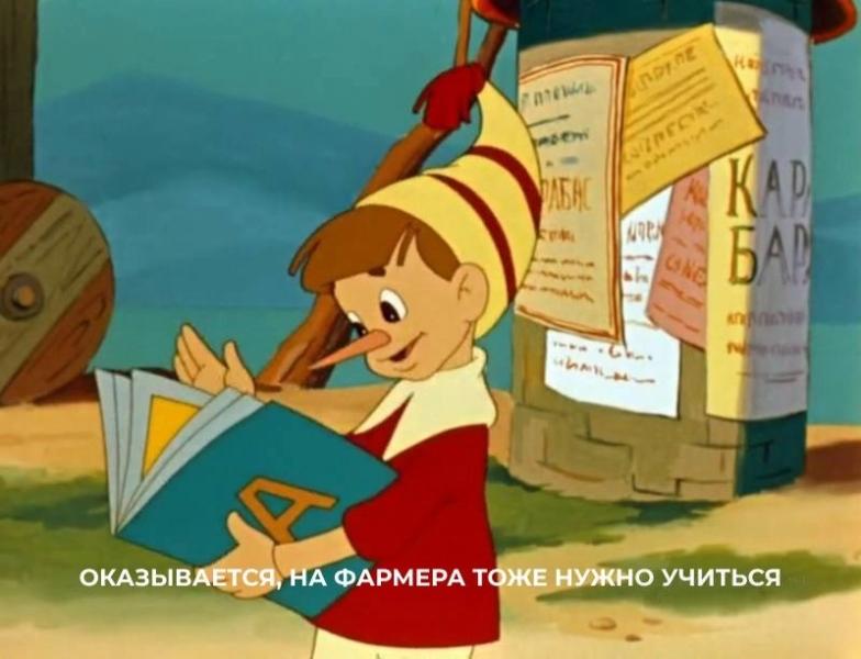 «Я сидел по 12-13 часов в день, когда учился, в дальнейшем мой рабочий день занимал 2 часа», — интервью с 4 фармерам