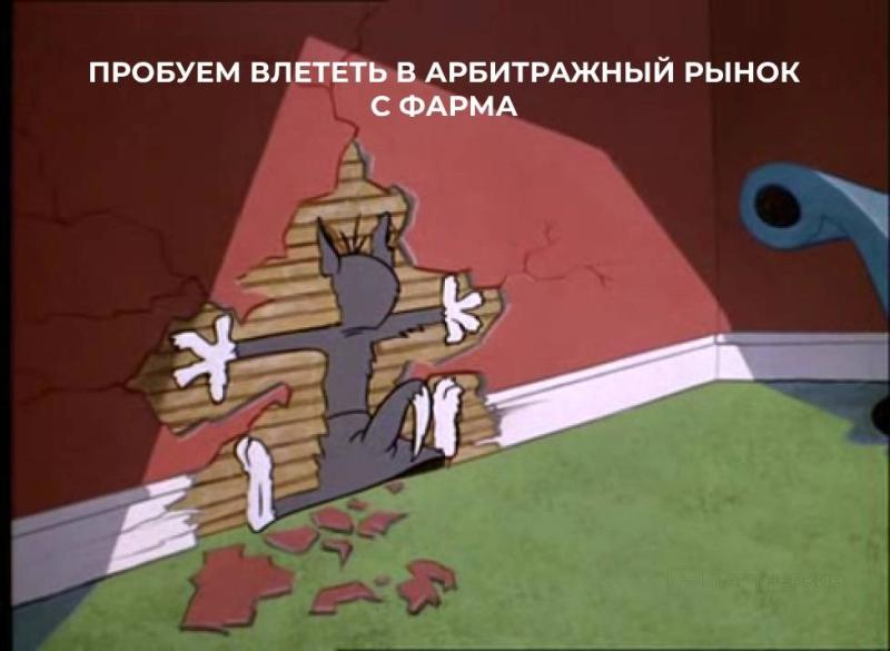 «Я сидел по 12-13 часов в день, когда учился, в дальнейшем мой рабочий день занимал 2 часа», — интервью с 4 фармерам