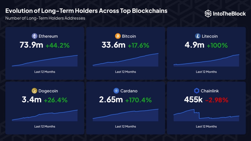 Количество Cardano-ходлеров за 12 месяцев выросло на 170%