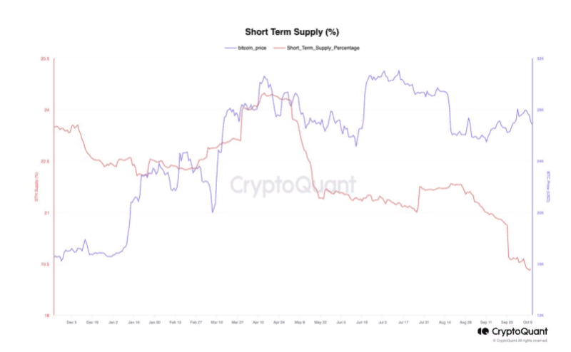 Bitfinex: Под контроль ходлеров перешли более 80% биткоинов