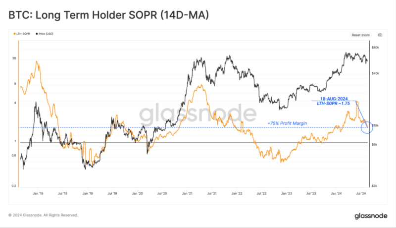 Glassnode: стойкость ходлеров привела к росту доминирования биткоина до 56%